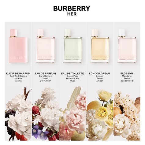 burberry her eau de parfum notes|burberry classic eau de parfum perfume for women 3.3 oz.